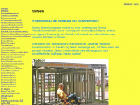 heinzherrmann.com Webseite Vorschau