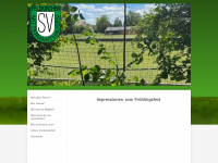 svfeldkirchen.de Webseite Vorschau