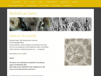 lasorts.ch Webseite Vorschau