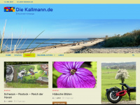 kallmann.de Webseite Vorschau