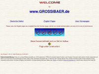 grossibaer.de Webseite Vorschau