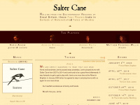 saltercane.com Webseite Vorschau