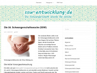 ssw-entwicklung.de Webseite Vorschau