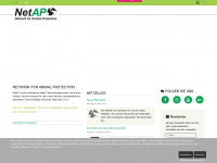 netap.ch Webseite Vorschau