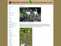 blackberrybush.net Webseite Vorschau