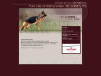 thingstaette.com Webseite Vorschau