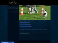 Cft.flyball.at