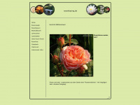 rosenleasing.de Webseite Vorschau