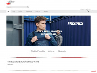 ddsafety.ch Webseite Vorschau