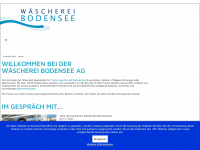 waescherei-bodensee.ch Webseite Vorschau
