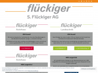 sfag.ch Webseite Vorschau