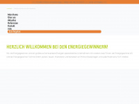 energiegewinner.de Webseite Vorschau