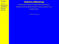 holsten-muendrup.de Webseite Vorschau