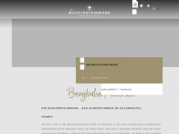 bergbahn-pillersee.com Webseite Vorschau