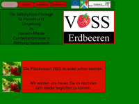 vosserdbeeren.de Webseite Vorschau