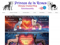 princesdelaroses.de Webseite Vorschau