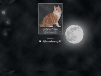 of-moonlightcats.de Thumbnail