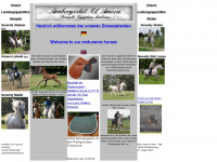 distanz-pferde.de Webseite Vorschau