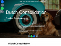 dutchconsolidation.nl