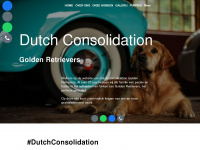 dutchconsolidation.nl Webseite Vorschau