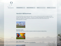 ballongruppe-bern.ch Webseite Vorschau