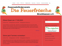ffv-diefeuerfroesche.de