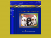 tibet-terrier-von-lama-tashi.de Thumbnail