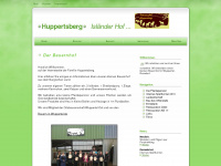 a-huppertsberg.de Webseite Vorschau