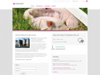 ufamed.ch Webseite Vorschau
