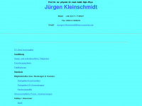 prof-kleinschmidt.de Webseite Vorschau