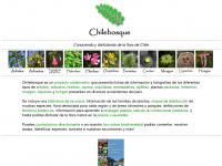 chilebosque.cl Webseite Vorschau