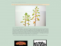 strangeplants.com Webseite Vorschau
