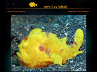 frogfish.ch Webseite Vorschau