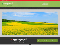 penergetic.ca Webseite Vorschau