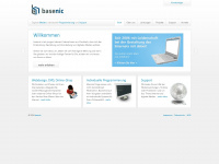 basenic.de Webseite Vorschau