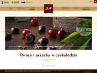 doti.pl Webseite Vorschau