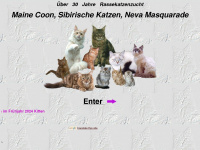 neva-masquarade-sibirian-cat.de Webseite Vorschau