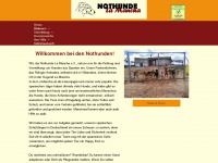 nothunde-la-mancha.com Webseite Vorschau