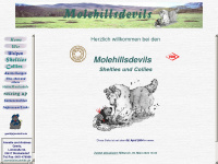 molehills.de Webseite Vorschau