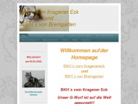 bkh-vom-kragenereck.de Webseite Vorschau