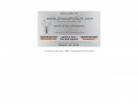 drosophyllum.com Webseite Vorschau