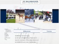 galmbacher.com Webseite Vorschau