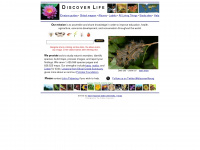 Discoverlife.org