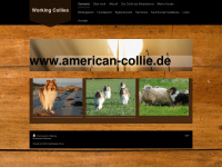 american-collie.de Webseite Vorschau