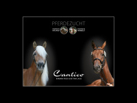 pferdezucht-cantico.com Webseite Vorschau