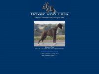 boxer-von-felix.de Webseite Vorschau