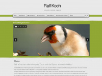 ralfkoch.com Webseite Vorschau