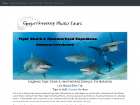 tigersharkdive.com Webseite Vorschau