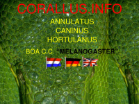 corallus.info