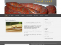 corallus.nl Webseite Vorschau